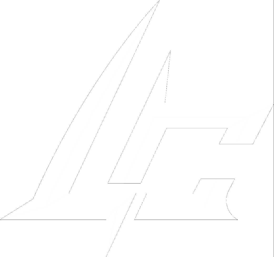 Looser Co.